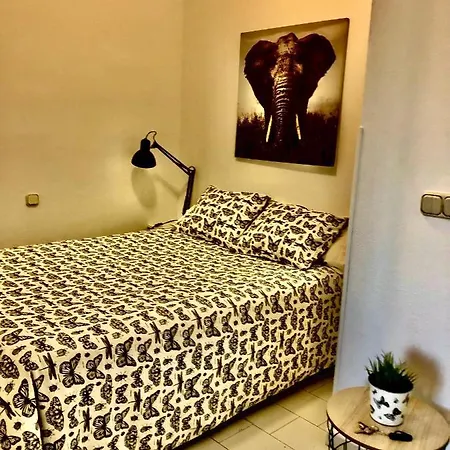 Miguel Angel Sunset Ocean View Apartment