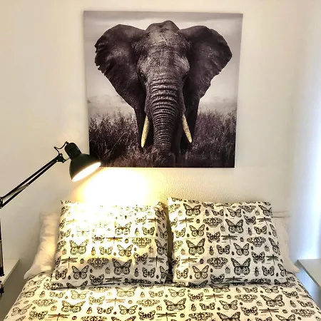 Miguel Angel Sunset Ocean View