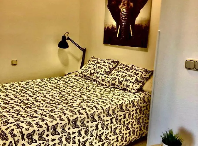 Miguel Angel Sunset Ocean View Διαμέρισμα